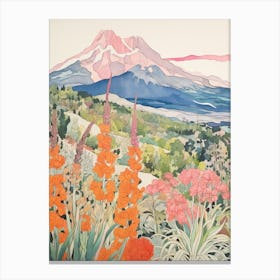 Pico De Orizaba Mexico 3 Colourful Mountain Illustration Canvas Print