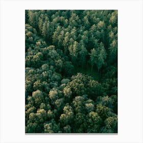Aerial View Of A Forest | Landscape and travel photography Canvas Print