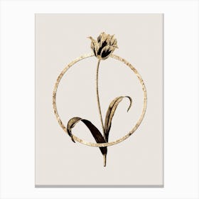 Gold Ring Didier's Tulip Glitter Botanical Illustration n.0306 Canvas Print