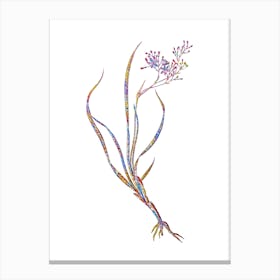 Stained Glass Phalangium Bicolor Mosaic Botanical Illustration on White Canvas Print