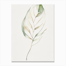 Vanilla Leaf Minimalist Watercolour 3 Canvas Print