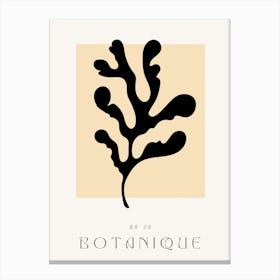 Botanique 2 Canvas Print