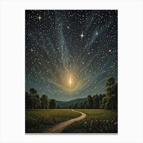 Starry Night Sky Canvas Print