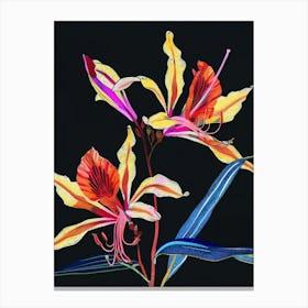 Neon Flowers On Black Kangaroo Paw 4 Canvas Print