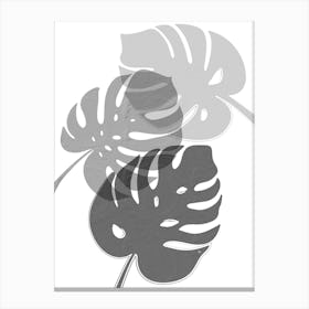 Grey Monstera Leaves Canvas Print