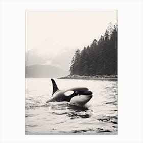 Misty Black & White Orca Whale Forest And Ocean Photography Style 1 Canvas Print