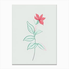 Peppermint Floral Minimal Line Drawing 3 Flower Canvas Print