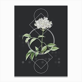 Vintage Elderflower Tree Botanical with Geometric Line Motif and Dot Pattern Canvas Print