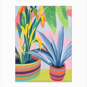 Yucca Eclectic Boho Plant Canvas Print
