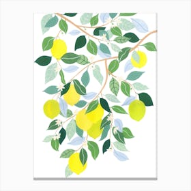 Mediterranean Plant Lemon Tree Botanical Painting Canvas Print