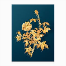 Vintage Moss Rose Botanical in Gold on Teal Blue n.0305 Canvas Print