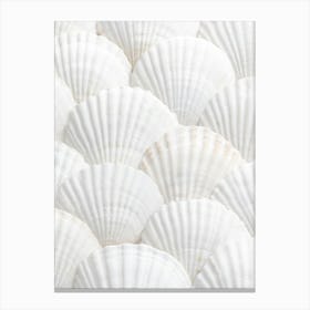 Pattern of shells_2110342 Canvas Print