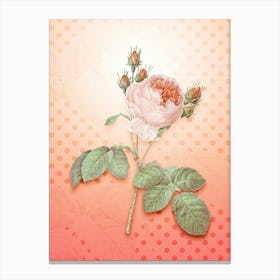 Pink Cabbage Rose Vintage Botanical in Peach Fuzz Polka Dot Pattern n.0314 Canvas Print