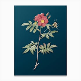 Vintage Rosa Redutea Glauca Botanical Art on Teal Blue n.0427 Canvas Print