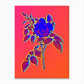 Neon Fragrant Rosebush Botanical in Hot Pink and Electric Blue n.0063 Canvas Print