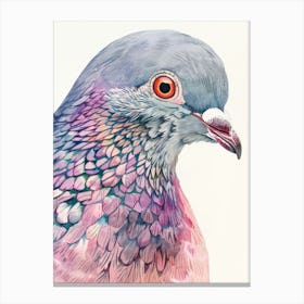 Pigeon 7 Canvas Print