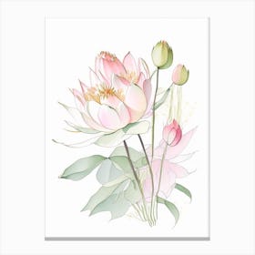 Lotus Flower Bouquet Pencil Illustration 1 Canvas Print