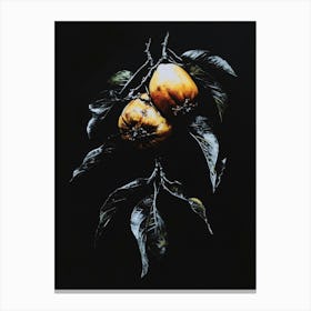 Two Oranges On A Branch Canvas Print