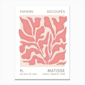 H Matisse 57 Canvas Print