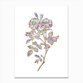 Stained Glass Queen Elizabeth's Sweetbriar Rose Mosaic Botanical Illustration on White n.0314 Canvas Print