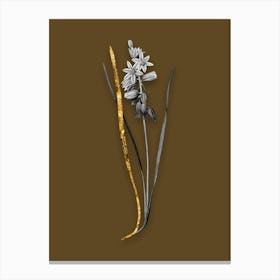 Vintage Drooping StarofBethlehem Black and White Gold Leaf Floral Art on Coffee Brown n.0129 Canvas Print