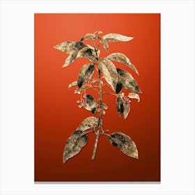 Gold Botanical Chilean Wineberry Branch on Tomato Red n.4668 Canvas Print