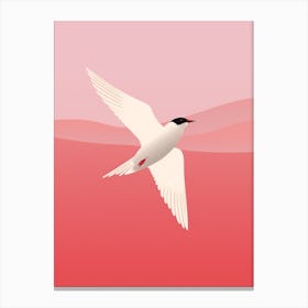 Minimalist Common Tern 2 Illustration Canvas Print