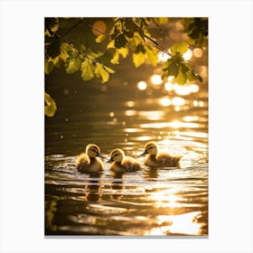 Ducklings In The Water 1 Canvas Print