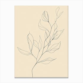 Line Drawing Of A Leaf Canvas Print