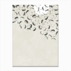 Pebbles Canvas Print