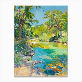 Barton Springs Pool Austin Texas Oil Painting 2 Canvas Print