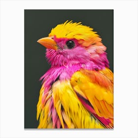 Colorful Bird 8 Canvas Print