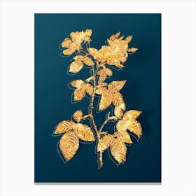 Vintage Red Bramble Leaved Rose Botanical in Gold on Teal Blue n.0158 Canvas Print