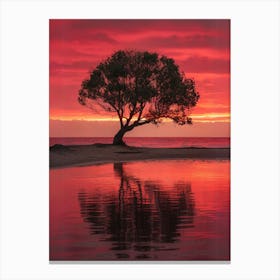 Lone Tree At Sunset Canvas Print