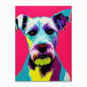 Wirehaired Vizsla Andy Warhol Style dog Canvas Print