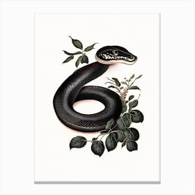 Black Snake Vintage Canvas Print