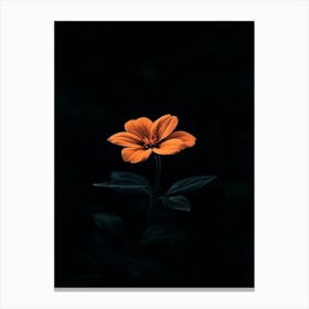 Orange Flower 8 Canvas Print