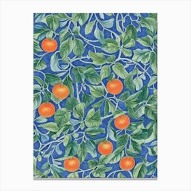 Persimmon Vintage Botanical Fruit Canvas Print