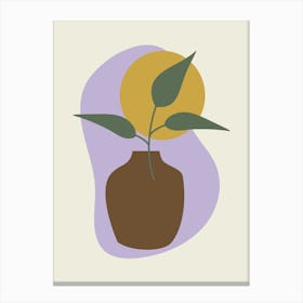 Plant In A Vase Canvas Print