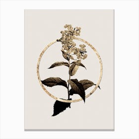 Gold Ring White Gillyflower Bloom Glitter Botanical Illustration n.0317 Canvas Print