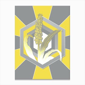 Vintage Eucomis Punctata Botanical Geometric Art in Yellow and Gray n.031 Canvas Print