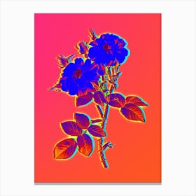 Neon White Damask Rose Botanical in Hot Pink and Electric Blue n.0028 Canvas Print