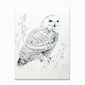 Snowy Owl Marker Drawing 3 Canvas Print