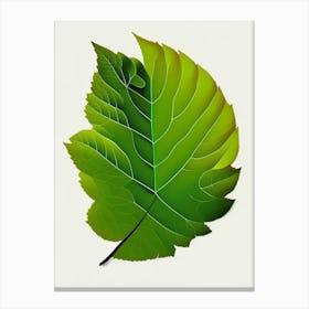 Elm Leaf Vibrant Inspired 3 Canvas Print