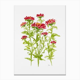 Ruby Red Aster Canvas Print