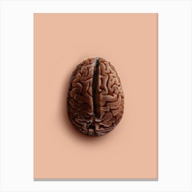 Brain Bean Canvas Print