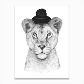 Lioness In Hat Canvas Print