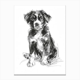 Entlebucher Mountain Dog Line Sketch 4 Canvas Print