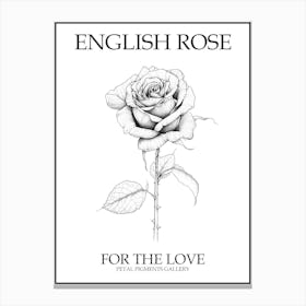 English Rose Black And White Line Drawing 10 Poster Canvas Print