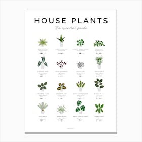House Plants Guide Canvas Print